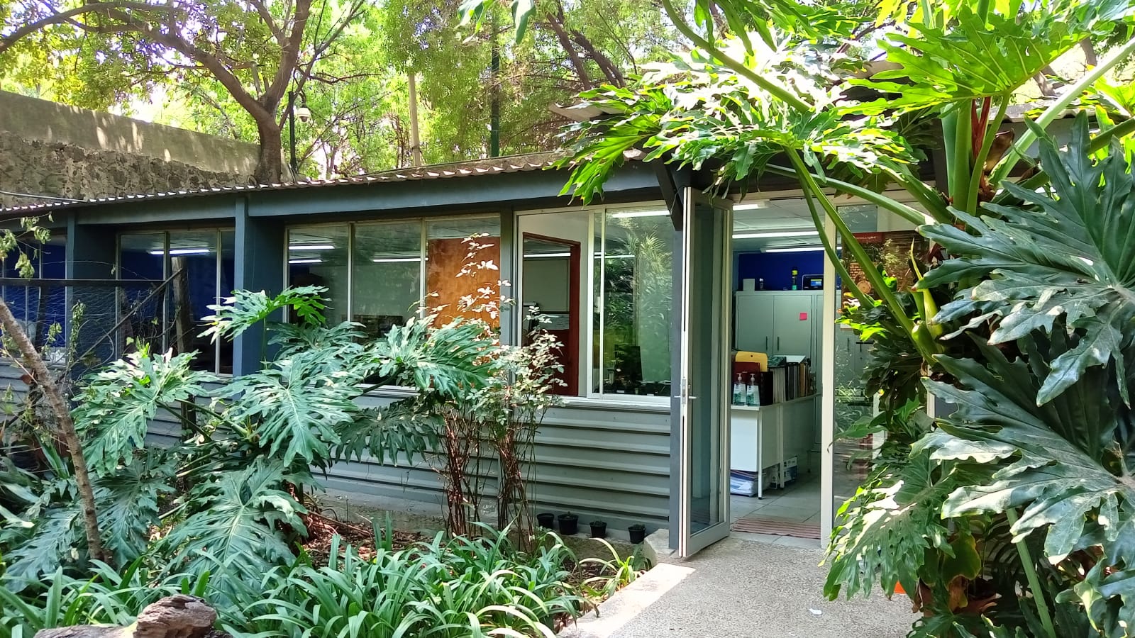 Acceso a la Unidad de Transparencia